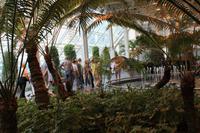 Devonian Garden