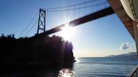 Einfahrt nach Vancouver  unter der Lion Gate Bridge - Bild von Frau Fleger