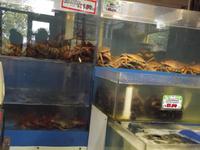 Granville Island