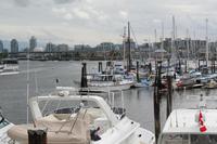 Granville Island