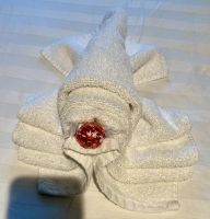 Handtuchkunst, Holland America Line