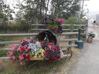 Hat Creek Ranch
