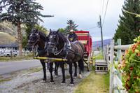 Hat Creek Ranch