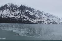 Hubbard-Gletscher