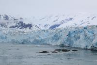 Hubbard-Gletscher