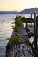 Icy Strait Point