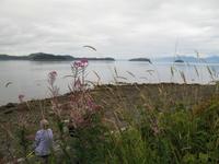 Icy Strait Point