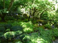 Japanischer Garten