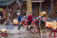 Ketchikan – Lumberjack Show
