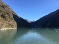 Kreuzfahrt nach Alaska - Tracy Arm Fjord