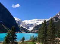 Lake Louise in Picture Perfekt Laune