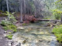 Maligne Canyon