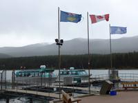 Maligne Lake