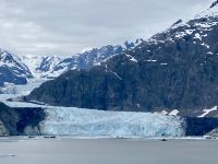 Margerie Gletscher 
