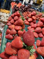 Markthalle 