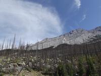 Medicine Lake
