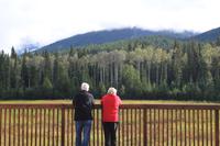 Mount Robson