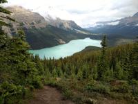 Peyto Lake