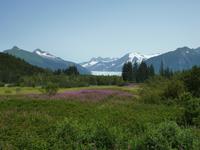 Sommer am Mendenhall-Gletscher