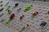 Spaziergang durch die Innenstadt von Calgary - Olympic Plaza