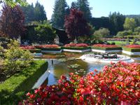 Star Pond