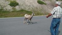 Stopp am Lake Minnewanka