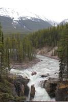 Sunwapta-Wasserfall