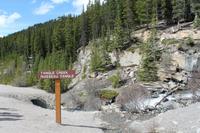 Tangle Creek