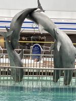 Unser Pool