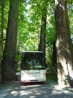 Unser Reisebus
