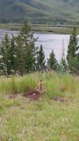 West-Kanada & Alaska - Bewohner in den Rockies