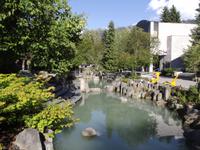 Whistler
