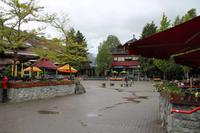 Whistler