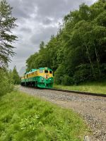 White Pass Zug