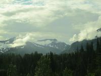 Wildniss Alaskas
