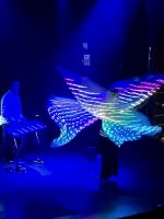 Xylophon Licht Show