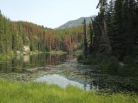 Yellowhead Pass