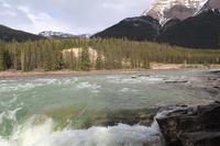 am Athabasca Wasserfall