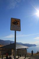 am Kamloops Lake