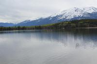 am Pyramid Lake