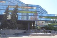 das neue Rathaus