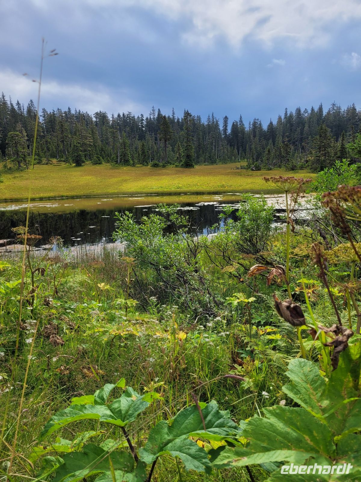 0106 Icy Strait Point