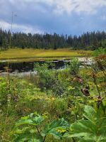 0106 Icy Strait Point
