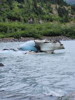 0120 Auf dem Weg nach Anchorage