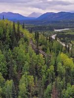 0134 Denali - Blick von unserem Hotel