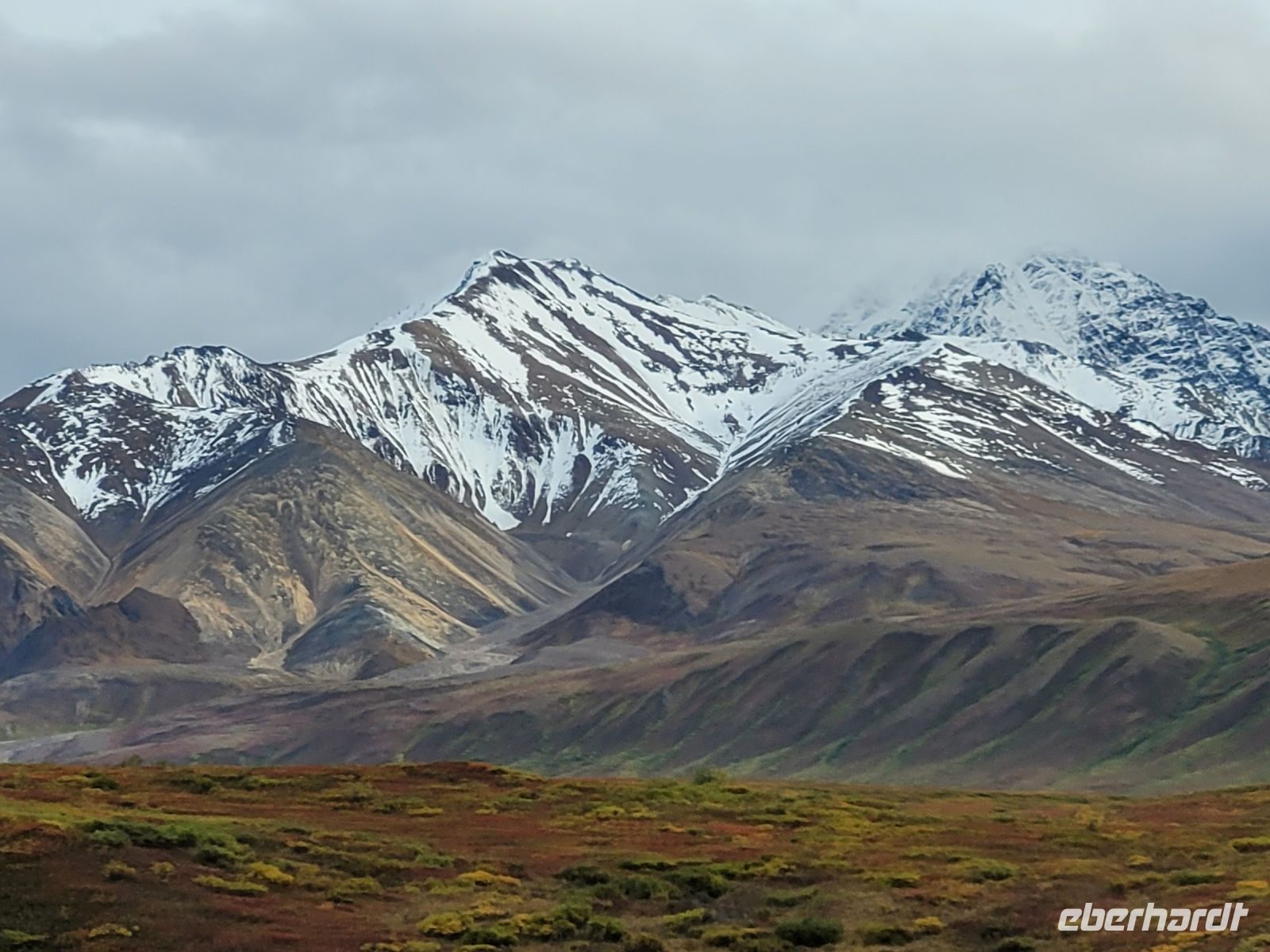 0139 Denali Nationalpark