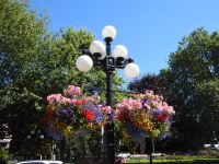 Kanada - Vancouver Island