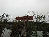 Kanada - Nebel am Patricia Lake