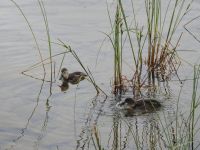 Kanada - Pyramid Island