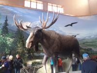 Alaska - Denali - Besucherzentrum